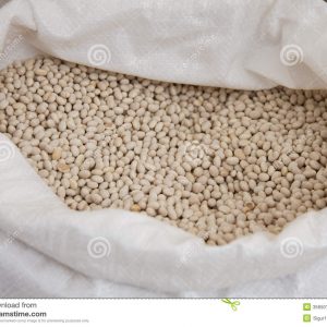 White Iron Beans - Half bag
