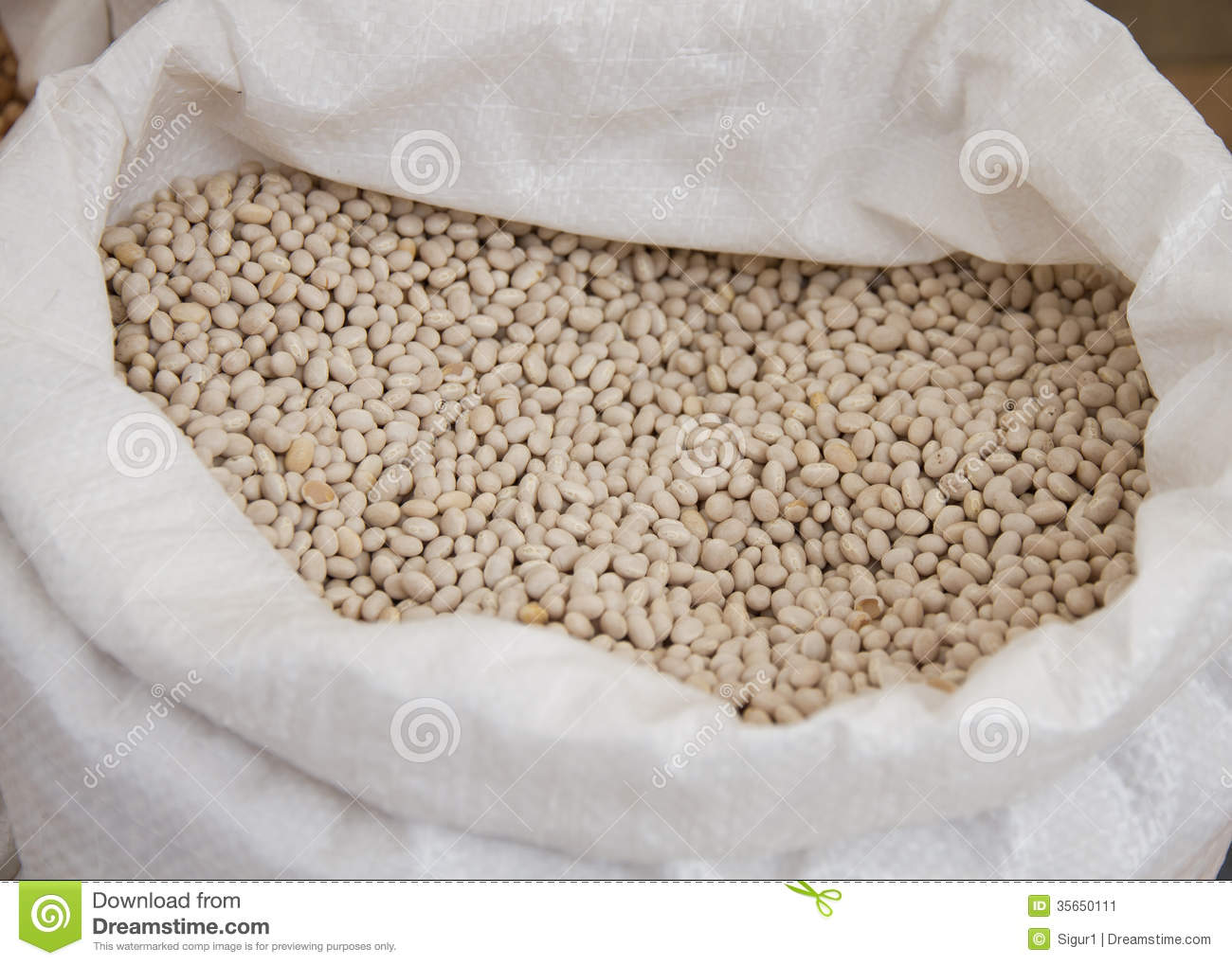 White Iron Beans - Half bag